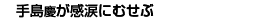 L^Cg摜