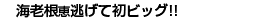 L^Cg摜