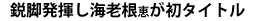 L^Cg摜